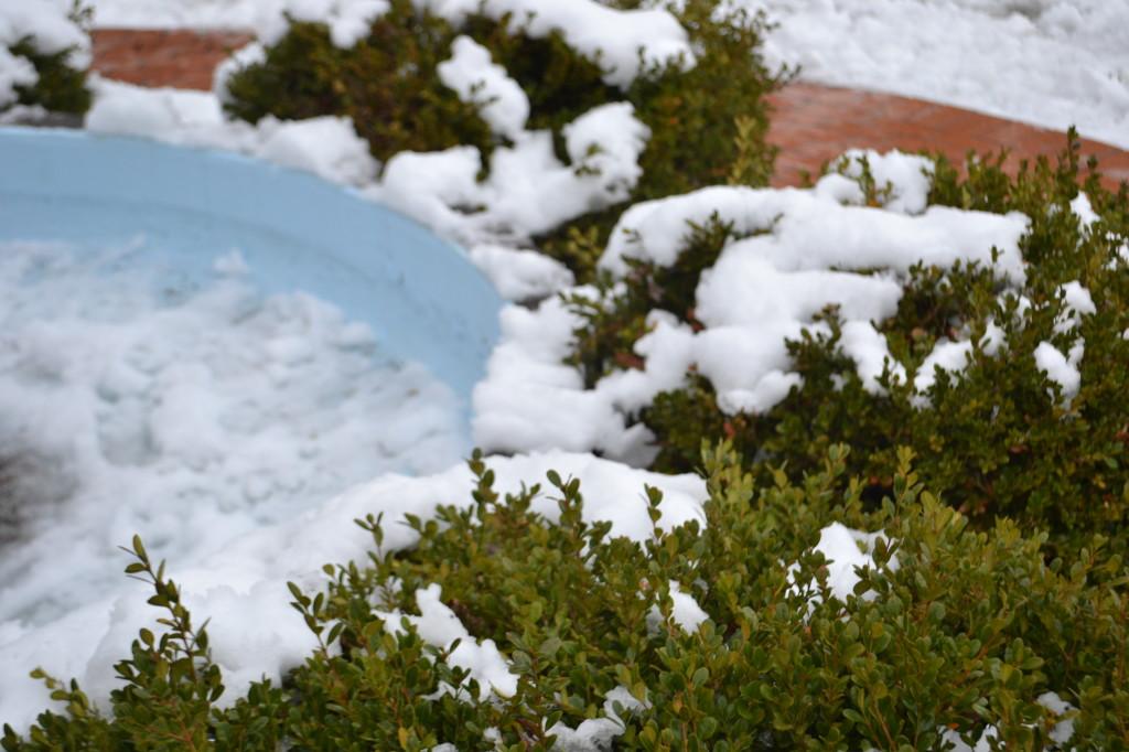 Students enjoy last snow day of school year