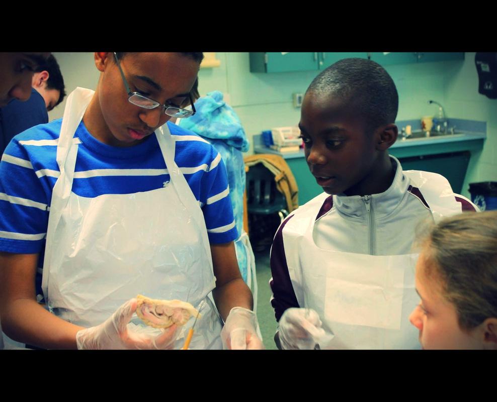 Students participate in hands-on activity as part of NeuroInspire.  Photo courtesy of NeuroInspire