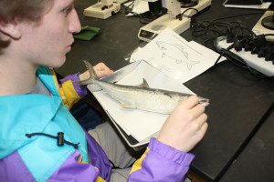 Students examine fish in marine biology class