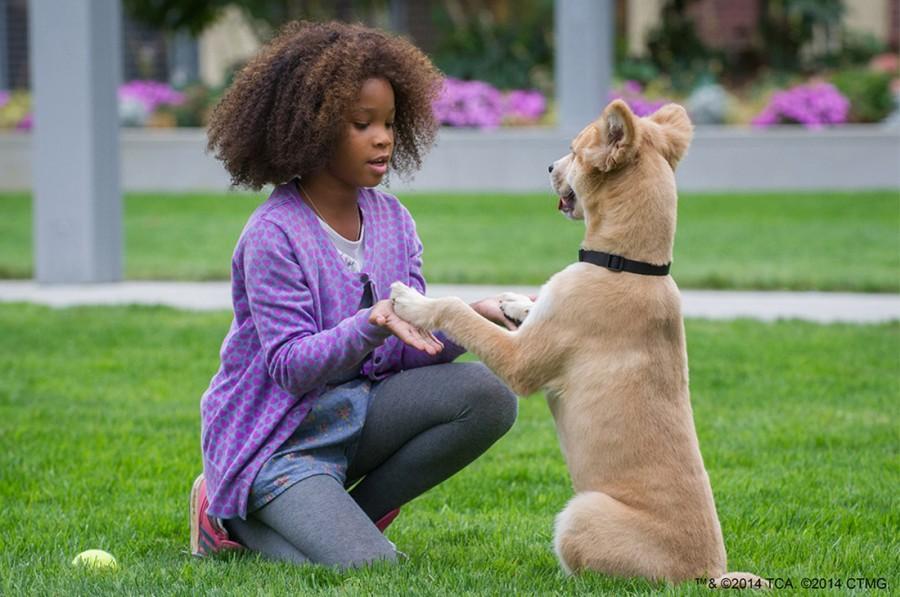 “Annie” reinvents classic story of love and family