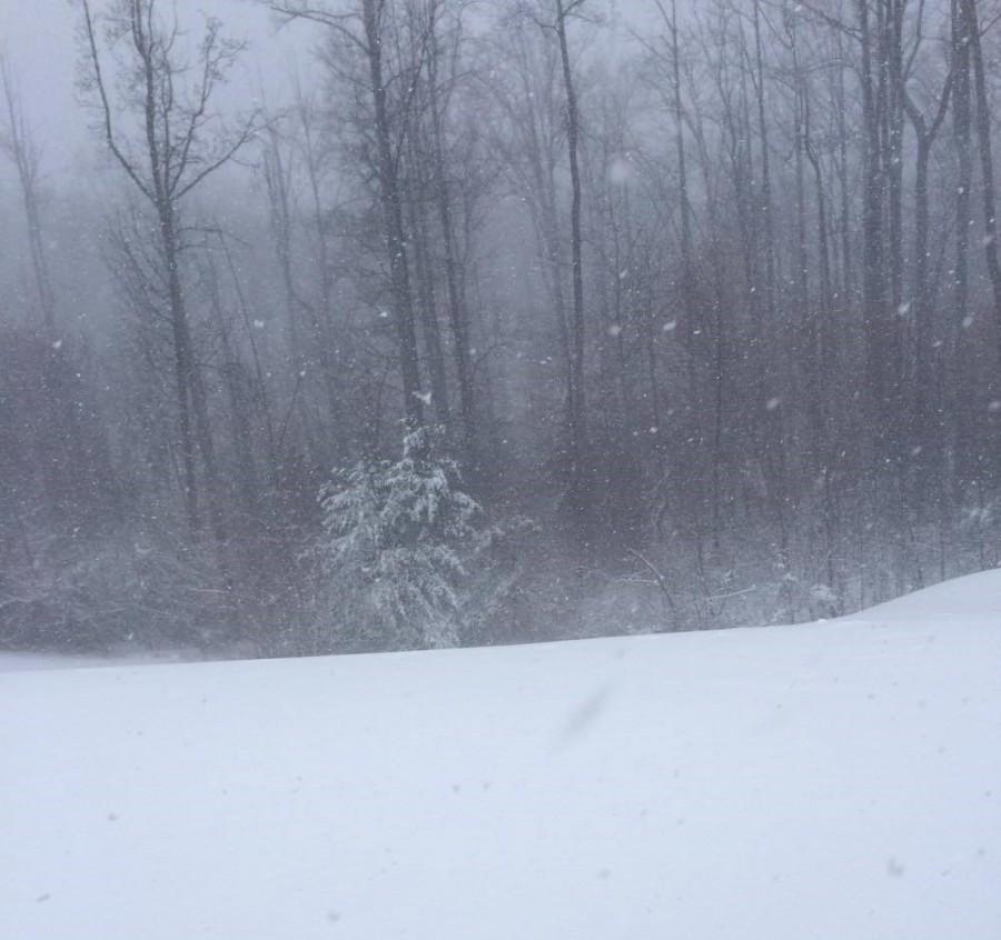 Snow piles up, causing many snow days for Fairfax County.