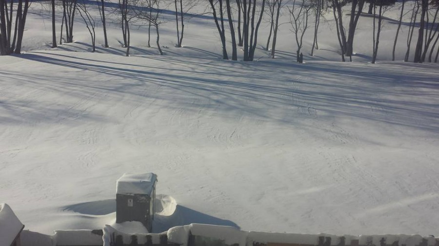 After a night of intense blizzard snow, many backyards, like that of sophomore Kshamata Neupane in Herndon, were covered with feet of snow.