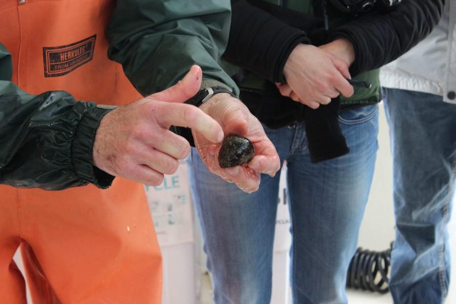 Eric, one of the CBF program leaders, teaches the group about mystery snails.