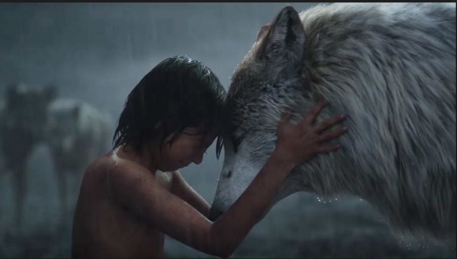 Photo courtesy of Disney. The new The Jungle Book movie was released on North America on April 15, 2016 and was generally well received by critics. The movie currently has a rating of 94% on Rotten Tomatoes, and a rating of 77% on Metacritic.