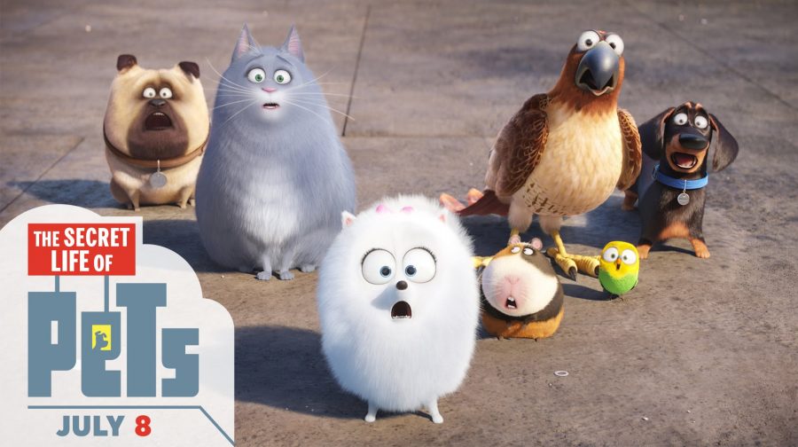 “The Secret Life of Pets” - Brand new or just a reboot?