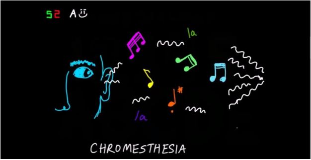 Photo+courtesy+of+Akshay+Balaji+and+brainfacts.org.+Balaji%E2%80%99s+video%2C+%E2%80%9CHearing+Red%2C+Tasting+Blue%3A+When+the+Senses+Mix%E2%80%9D+discusses+the+topic+of+synesthesia.+Synesthesia+is+a+neurological+phenomenon+in+which+using+one+sense+can+trigger+the+use+of+another.
