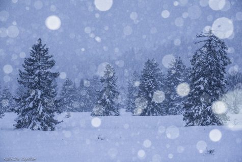 What are students doing over winter break?