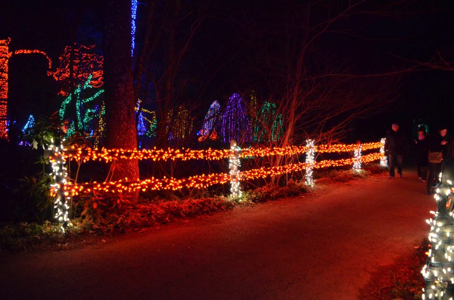 A bridge covered in lights to look like a candy cane