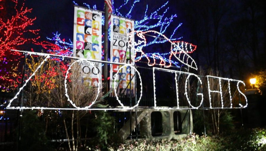 Smithsonian's National Zoolights Vlog
