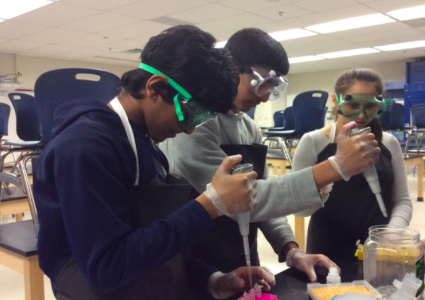 From deer pellets to DNA extraction, Jefferson freshmen complete complex procedures with IBET