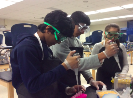 Biology students Koushik Thiyagarajan, Chris Jose, and Gabby Heller,
utilize the micropipettes to remove nucleic acid from the membrane,
which is then collected from the bottom of the column. This step is
among many in the procedure of DNA extraction.