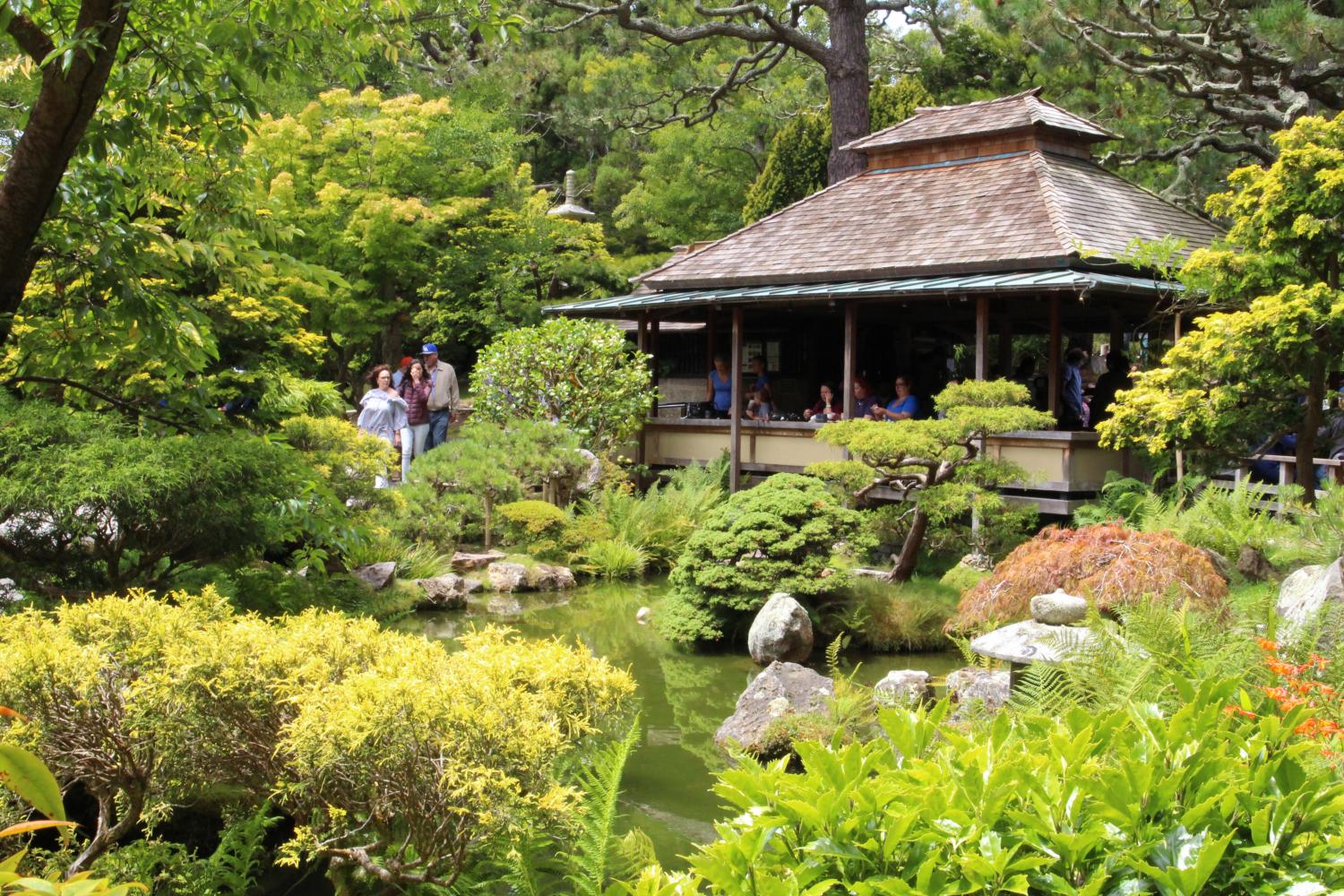 The Golden Gate Park also features the Japanese Tea Garden, in which visitors can experience the Japanese culture through tea, sceneries, and structures.