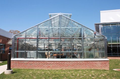 The academic research side of the greenhouse is soon to go under construction. In addition to air conditioning, shelving and systems for aquaculture will be installed. 