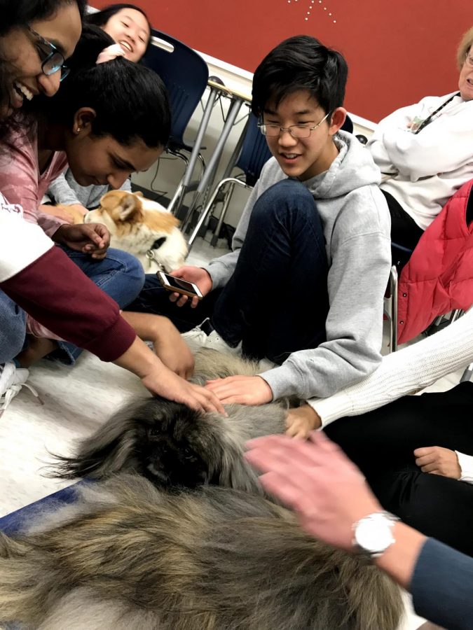 Stopping by during lunch, students spend time with the therapy dogs with smiles on their faces.