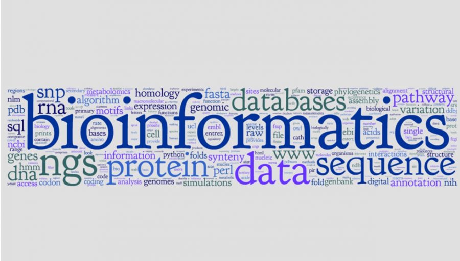 Bioinformatics is a recently approved class that will be taught by Dr. Morrow. It will focus on biological data analysis, using recent research as part of the curriculum. Any student who has taken a biology course may enroll. Photo courtesy of www.justscience.in.