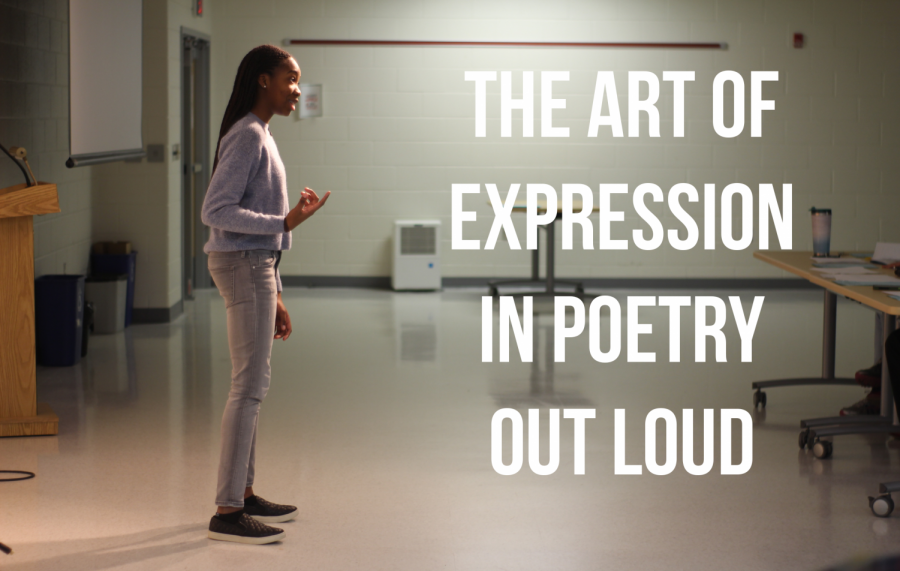 The+Art+of+Expression+in+Poetry+Out+Loud