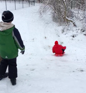 Freshman Nicolas Tiongson sleds down a hill while his brother watches