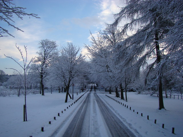 Try to park your car at the end of your driveway before the snow plow comes, so you dont have to worry about getting over piles of snow.