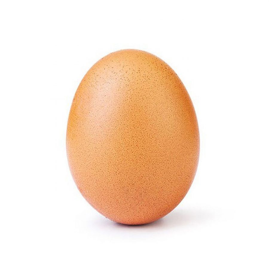 This egg has brought nearly 50 million people together in a matter of a week and a half. 