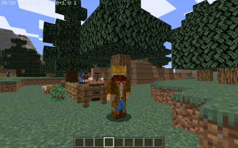 A version 1.14 Minecraft player with a few new features from 1.14 on display. 1.14, the Village and Pillage update added Pillagers, Wandering Traders, new villager skins, foxes, and sweet berry bushes.