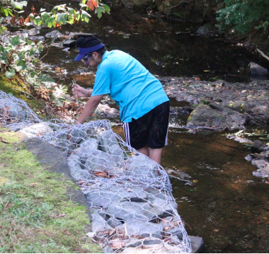 Jawand Singh observes a stream, collecting a water sample to study later. The streams IBET will take multiple trips to streams in the area to collect data and find areas of interest for their research projects. “We are gonna be analyzing ecologies of streams in the area and we will be doing that by analyzing the pH and by counting microorganisms,” freshman Lynn Tao said.