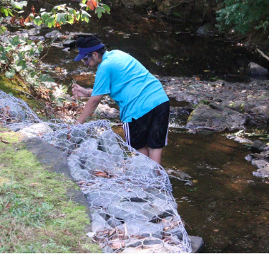 Jawand Singh observes a stream, collecting a water sample to study later. The streams IBET will take multiple trips to streams in the area to collect data and find areas of interest for their research projects.  “We are gonna be analyzing ecologies of streams in the area and we will be doing that by analyzing the pH and by counting microorganisms,” freshman Lynn Tao said.
