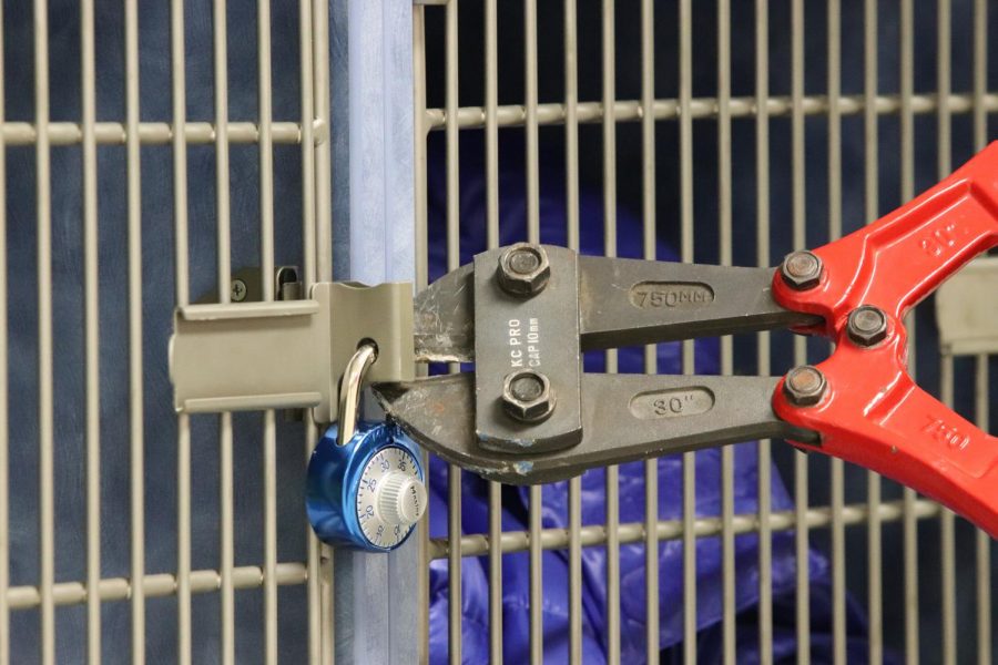 squeezing a clamp against the metal, a janitor cuts a lock placed overnight in audlob.