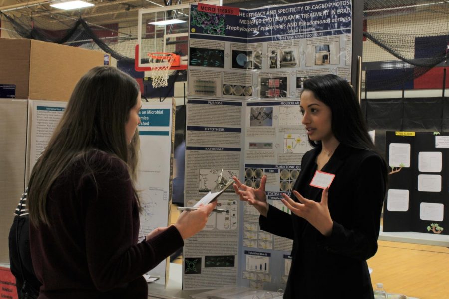 Science Fair: Photo Gallery