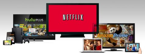 Three popular streaming services to watch shows on during coronacation include Netflix, Amazon Prime, and Hulu.