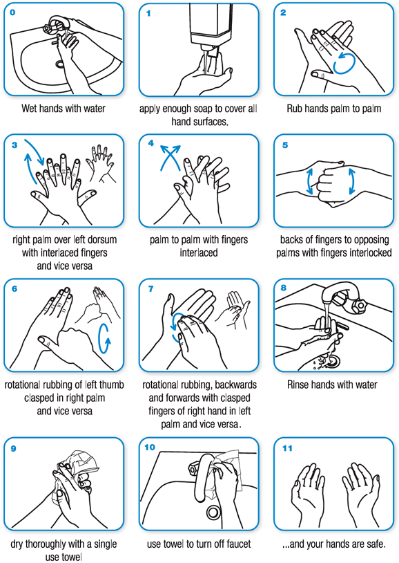An infographic detailing how to properly wash your hands. 