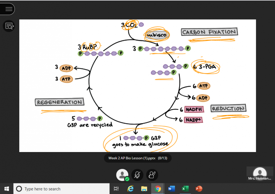 Here, an AP Biology class reviews the Krebs cycle over the platform Blackboard Collaborate Ultra.