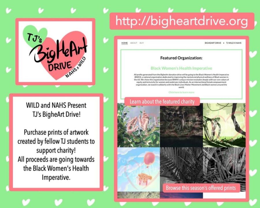 Student+organizations+collaborate+for+BigHeArt+Drive