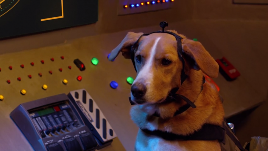 Dog actor Good-Beasley in “Agent Toby Barks”. Image Courtesy of IMDb.