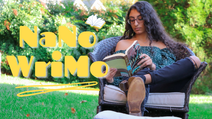 NaNoWriMo: A Novelist’s Month
