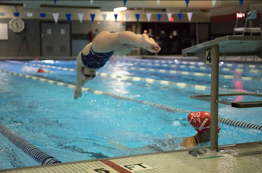 Senior+Natalie+Martin+dives+into+the+pool+during+the+400-meter+freestyle+relay.