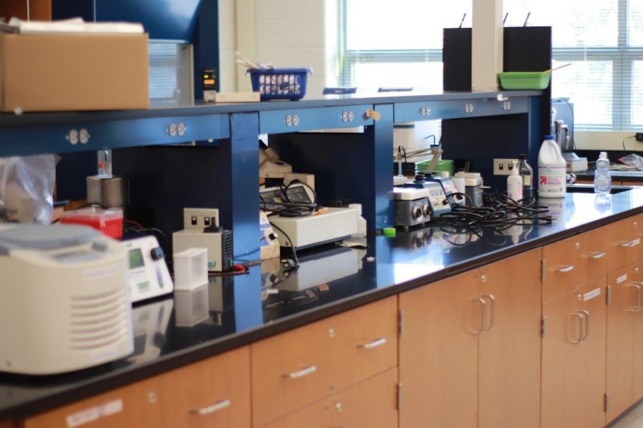 Once populated by a select group of students, the senior research labs are now empty for the time being. The future of in-person learning remains uncertain.