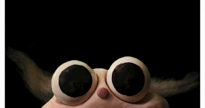 The comically large eyes of Opal, the main character in “OPAL” (2020). 