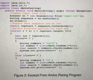 This is an excerpt of sophomore Richa Gupta’s amino pairing code, which creates a sequence of amino acid pairing for any inputted sequence. “We decided to do a project to try and track a protein called cadherin-22, which accumulates in hypoxic cancer tumors,” Gupta said. “So we were trying to bind a fluorescent protein to cadherin-22.”