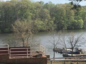 Sandy Run Regional Park is where on-water practices for Jefferson crew rowers take place. After holding virtual and socially-distanced off-water training and practices, the crew team has recently begun on-water sessions for the year, with several safety precautions newly in place. 