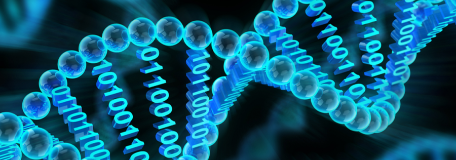 Students+at+three+different+skill+levels+competed+for+prizes+of+up+to+%24160+at+the+fifth+annual+BioCode+competition.