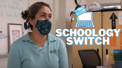 The Schoology Switch