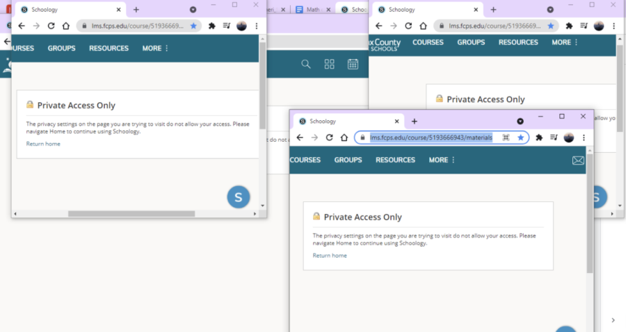 The error message sent to students attempting to access their classrooms on Schoology reads “Private access only." After a sudden transition to the new digital platform left students and staff with mixed feelings, this Schoology crash fueled further distrust of the platform. “I may have to create a Google Classroom which is something I haven’t done this year,” World History teacher Elizabeth Evans said.