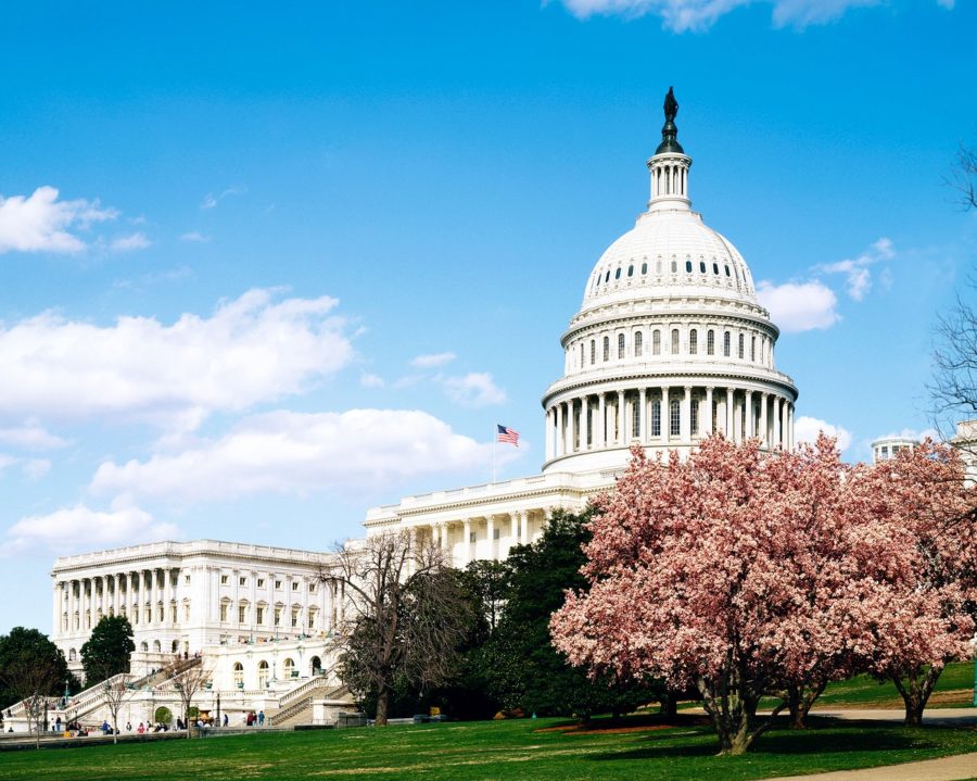 This program opens up opportunities for students to experience first hand what the government does on a day to day basis.  “I definitely hope that future years of TJ students will give this program and many other programs that focus on government and politics more of a listen,” Reaser said. 