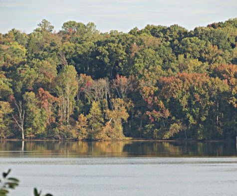 Mason Neck State Park, seen above, has consistently been a past IBET field trip location. However, COVID and bus shortages have put a stop to field trips over the past two years. “Before last year, for example, the salamander IBET went to Vernal Pools and the deer IBET went to Mason Neck,” biology teacher Doctor Kathleen Morrow said.