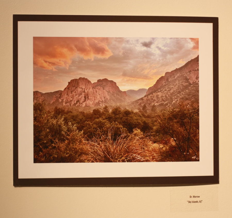 A photograph titled “Sky Islands, AZ”, taken by biology teacher Dr. Morrow, was displayed in the art gallery as part of the Endless Summer Photography show. The photography show was open to Jefferson students and staff. “The community at TJ isnt just reserved to us students. I think having it open to staff as well was a great way to let faculty members flex their art muscles a bit,” senior Mulan Pan, NAHS co-president, said.