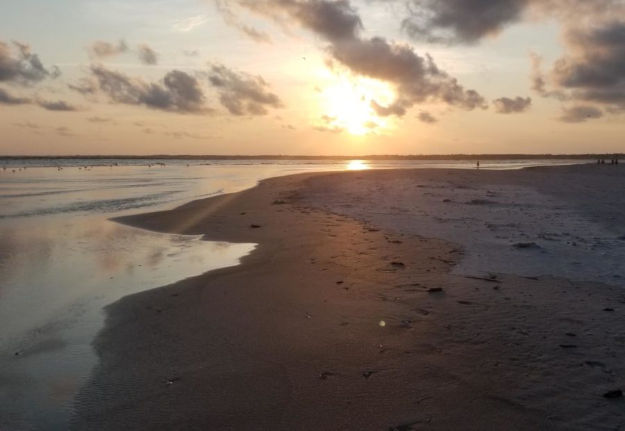 The Outer Banks, with its stunning beaches and historic lighthouses, provides a picturesque setting for the Netflix series that shares its name. As the show's characters explore the region's natural beauty and culture, viewers are treated to a captivating tale of adventure and friendship amidst the rugged coastal landscape.