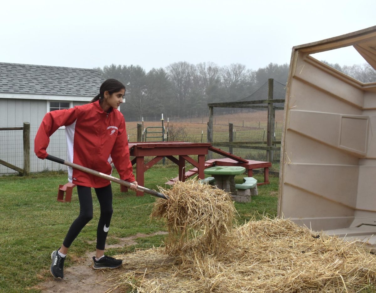 At the Peaceful Fields Sanctuary, freshman Sita Lamartin helps care for various rescued animals by replacing straw in their beds. “[The sanctuary] will take in farm animals and rescue them, such as a turkey that wasn’t rounded up for Thanksgiving or a cow that escaped from a dairy form. When I hear their stories, my heart breaks, but I love forming friendships with the animals,” Lamartin said. “Every animal has their own personality. The other day, one of the goats thought my finger was food.”