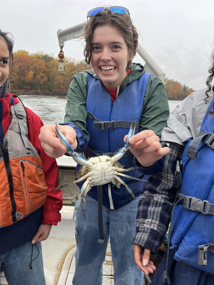 On+Nov.+10%2C+as+part+of+the+marine+field+trip%2C+students+had+the+opportunity+to+visit+the+Chesapeake+Bay+and+fish+from+the+boat.+Holding+up+the+blue+crab%2C+junior+Ella+Tysse+was+able+to+identify+the+male+blue+crab+by+its+sternum.+%E2%80%9CIt+was+rare+to+find+a+male+Blue+Crab+because+it+was+wintry+and+they+should+be+starting+to+settle+down+now%2C+but+it+would+be+rarer+if+we+find+a+female+blue+crab+because+they+dont+really+live+near+Maryland%2C%E2%80%9D+Tysse+said.