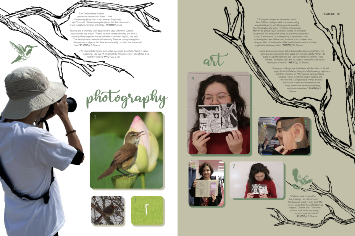 Reporting & design by Grace Sharma