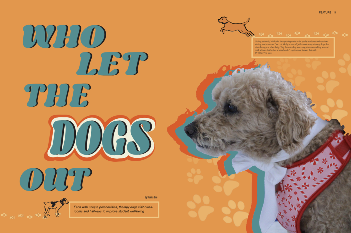 Reporting by Sophia Guo; design by Sophia Guo & Hannah Liu